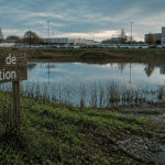 bassin de rétention en périphérie urbaine