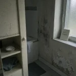 Anti humidite maison : traces de moisissure et humidité dans une salle de bain